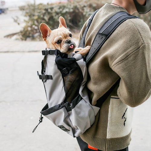 CarryNest™ breathable pet carrier backpack in selected colour