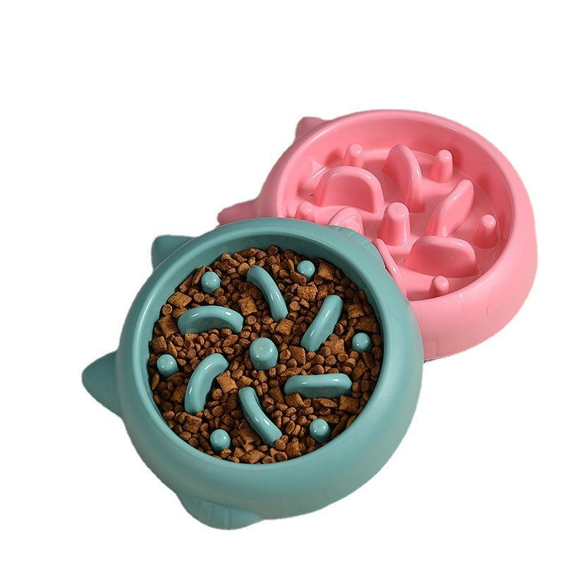 SlowPace dog bowl in Green Orange and Pink