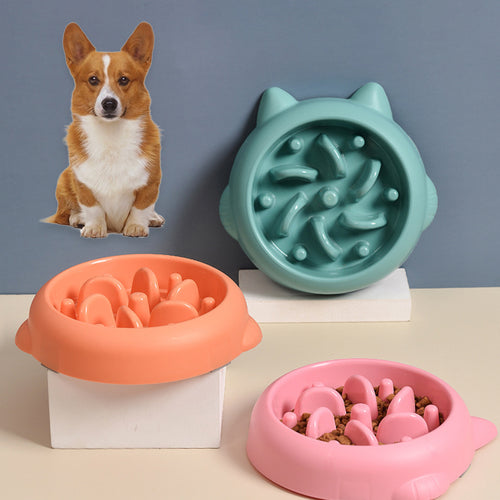 Plexia Paw SlowPace slow feeder dog bowl