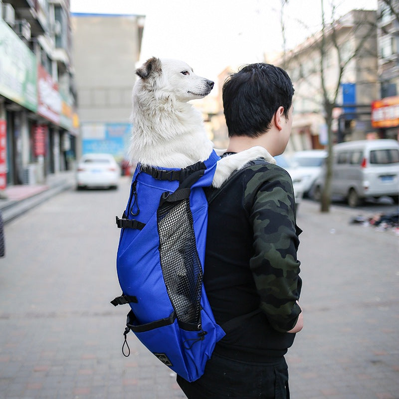 CarryNest™ lightweight dog carrier backpack