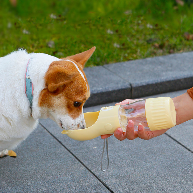 GoSip portable dog water bottle for outdoor outings