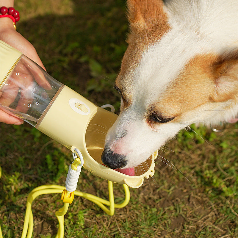 GoSip dog water bottle for walks and travel